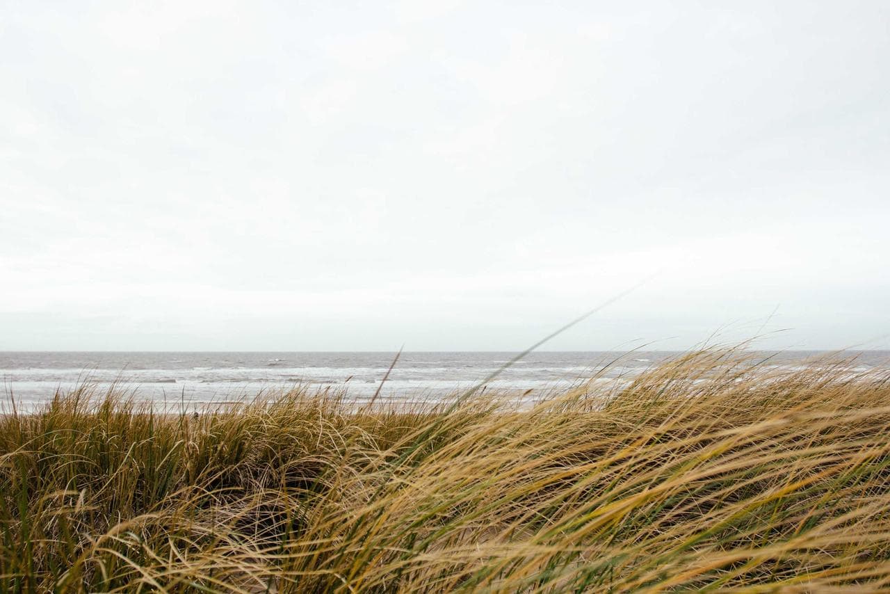 How We Grew a Client's Instagram to 18k Followers in 6 Months